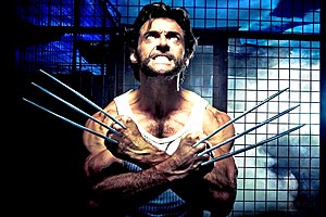 wolverine